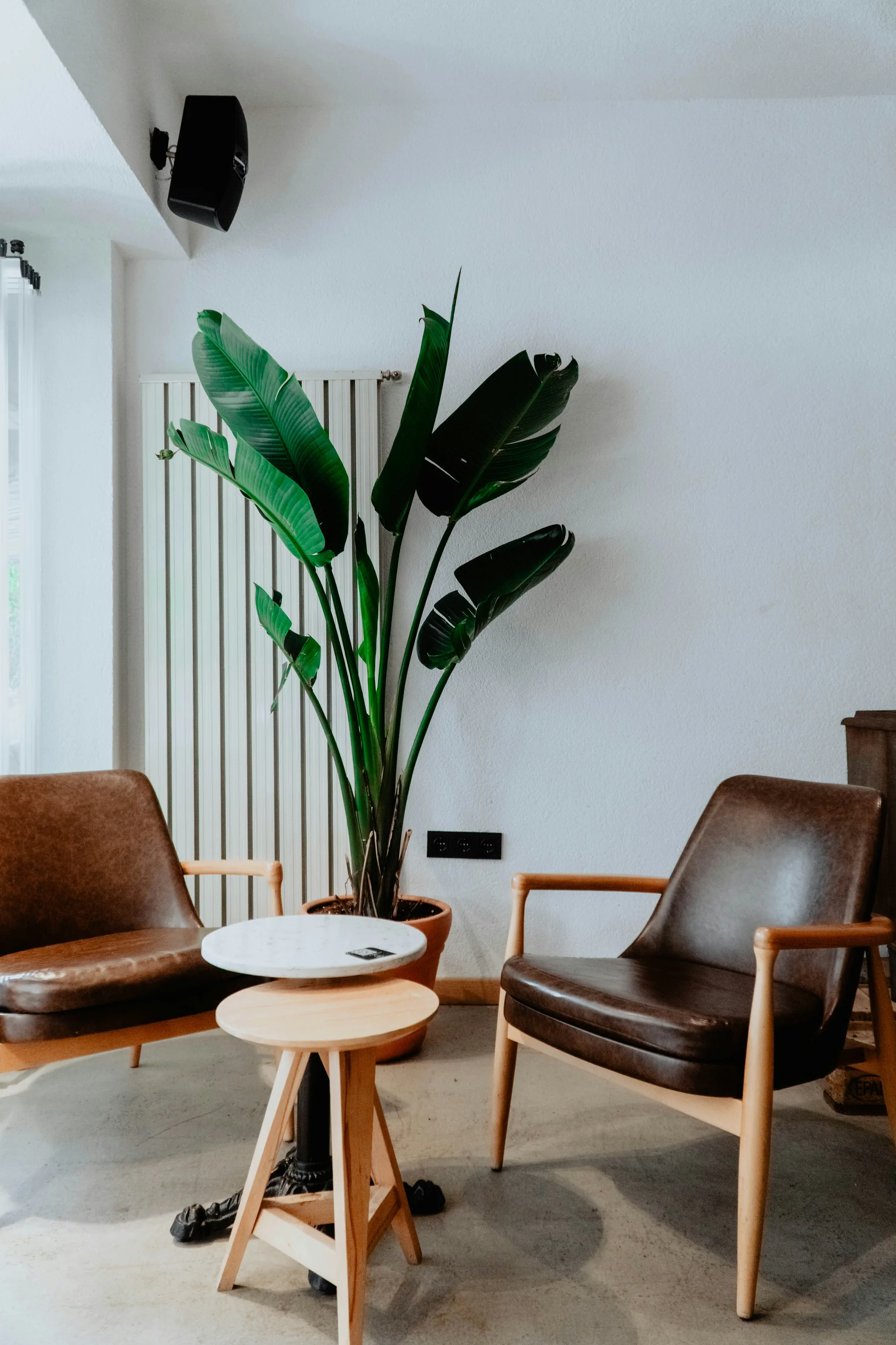 Professional practice environment