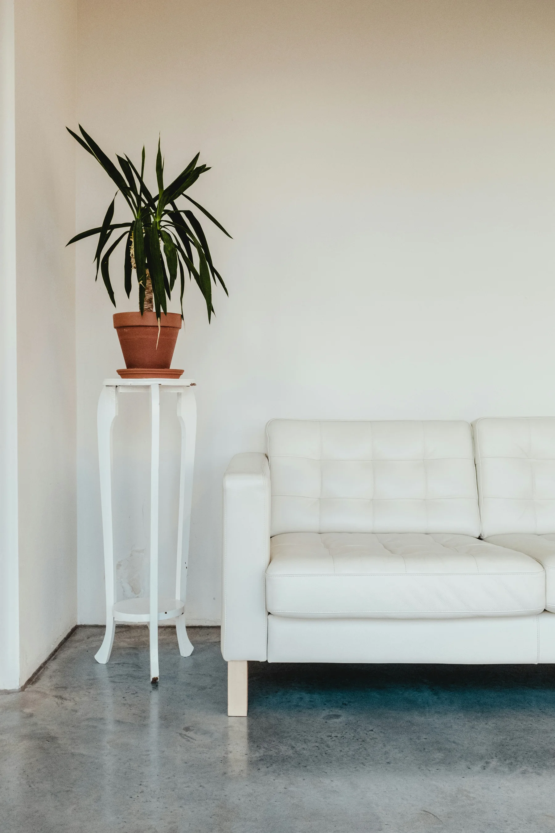 Discreet professional practice setting